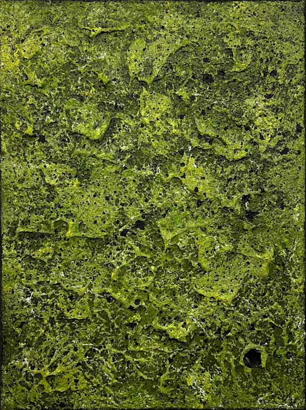 Mossy Lava Field no. 2520 by Klara Gunnlaugsdottir