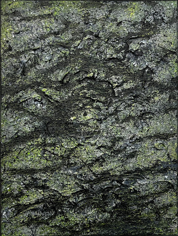 Mossy Lava Field no. 2521 by Klara Gunnlaugsdottir