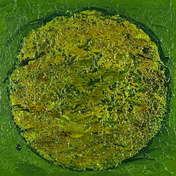 Round Mossy Art no. 2540 by Klara Gunnlaugsdottir