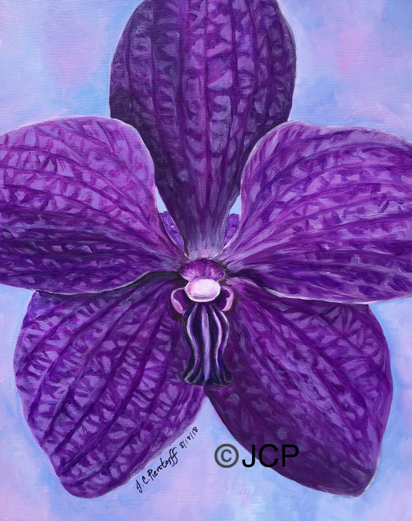 Blue orchid dressed in purple by Jennifer C.  Pierstorff
