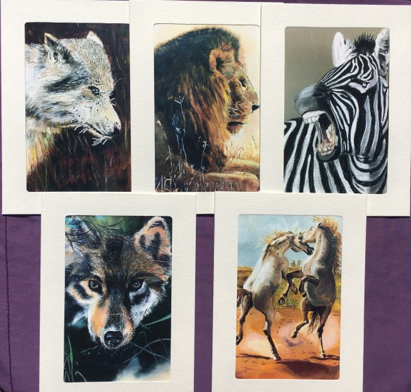 Mimi collection-safari themed 5 pack by Jennifer C.  Pierstorff