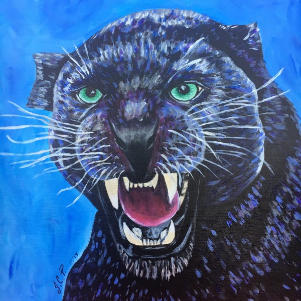 Black panther by Jennifer C.  Pierstorff