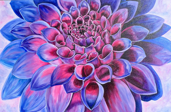 There is a balance of hot and cold, even in a beautiful dahlia  bloom by Jennifer C.  Pierstorff