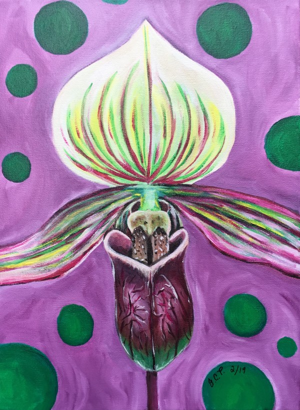 Dragon orchid by Jennifer C.  Pierstorff