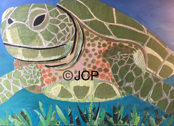 Green turtle swimming in a sea of refuse by Jennifer C.  Pierstorff