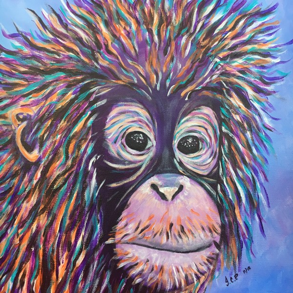 Baby orangutaun has a Bad hair day by Jennifer C.  Pierstorff