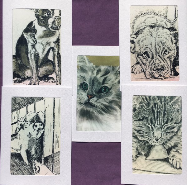 Mimi collection- animal lovers mix in black and white -5 pack  by Jennifer C.  Pierstorff