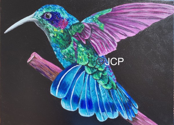 The royal reign of the hummingbird by Jennifer C.  Pierstorff