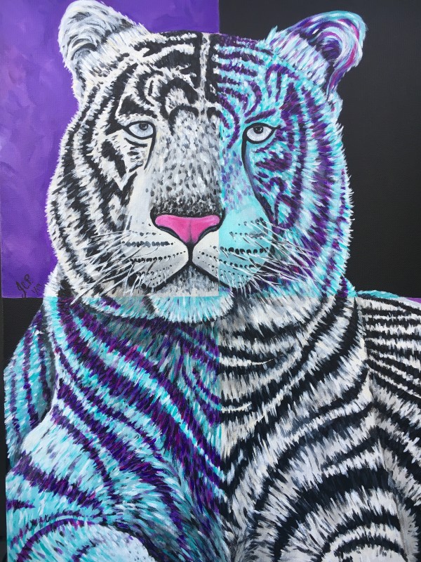 White tiger, dressed in purple, Ponders his existence by Jennifer C.  Pierstorff