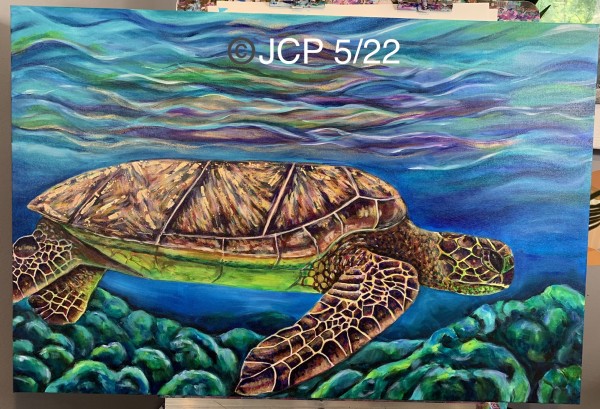 Edward, the Golden Loggerhead Turtle by Jennifer C.  Pierstorff