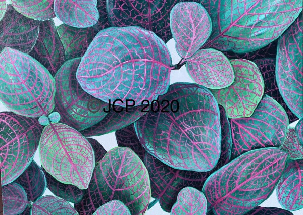 Overlapping leaf  patterns of the Fittonia by Jennifer C.  Pierstorff