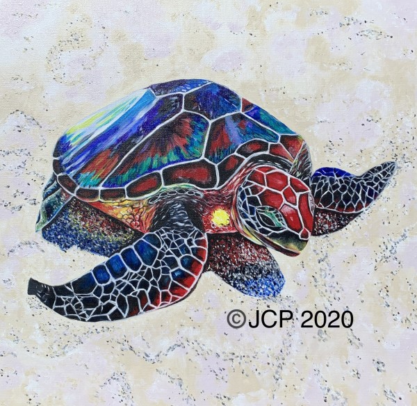 A rainbow turtle, unlike no other by Jennifer C.  Pierstorff