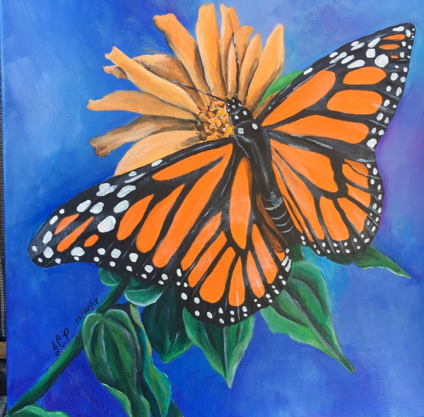 Monarch butterfly on black eyed susan by Jennifer C.  Pierstorff