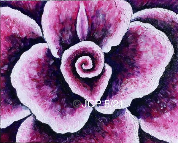 Purple echeveria abstract by Jennifer C.  Pierstorff