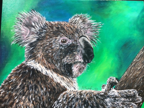 Portrait of a Koahla Bear by Jennifer C.  Pierstorff