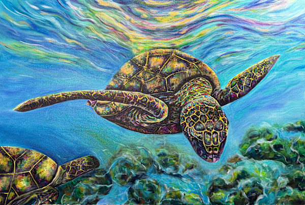 Guided by the Current, Guarded by the Shell by Jennifer C.  Pierstorff