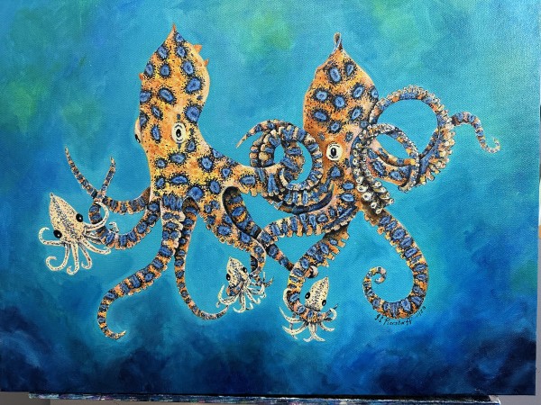 Blue Ring Octopus Family by Jennifer C.  Pierstorff