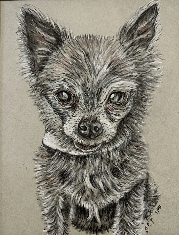 Our Tiny Dog, Little Lady by Jennifer C.  Pierstorff