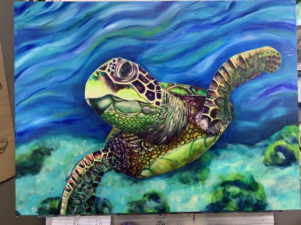 Lana, the Turtle, Creates the Stillness She Needs by Jennifer C.  Pierstorff