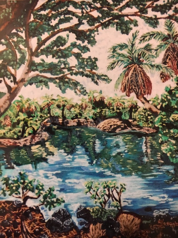 Ancient Hawaiian fish ponds by Jennifer C.  Pierstorff