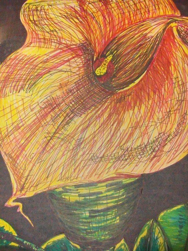 Red ink tulip by Jennifer C.  Pierstorff