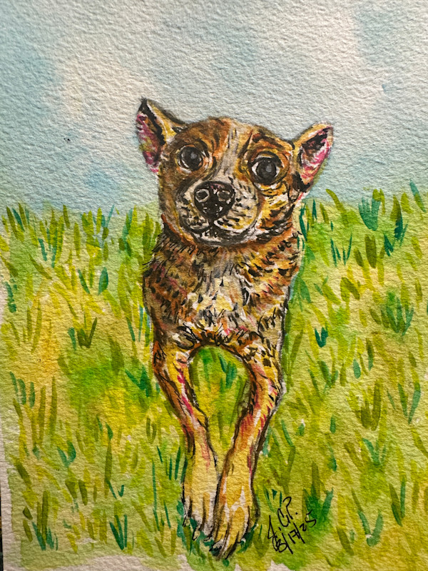 Lucy Soaking up the Sun by Jennifer C.  Pierstorff