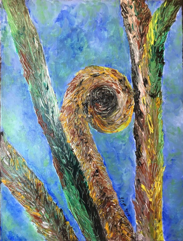 Tree fern fiddlehead 1 by Jennifer C.  Pierstorff