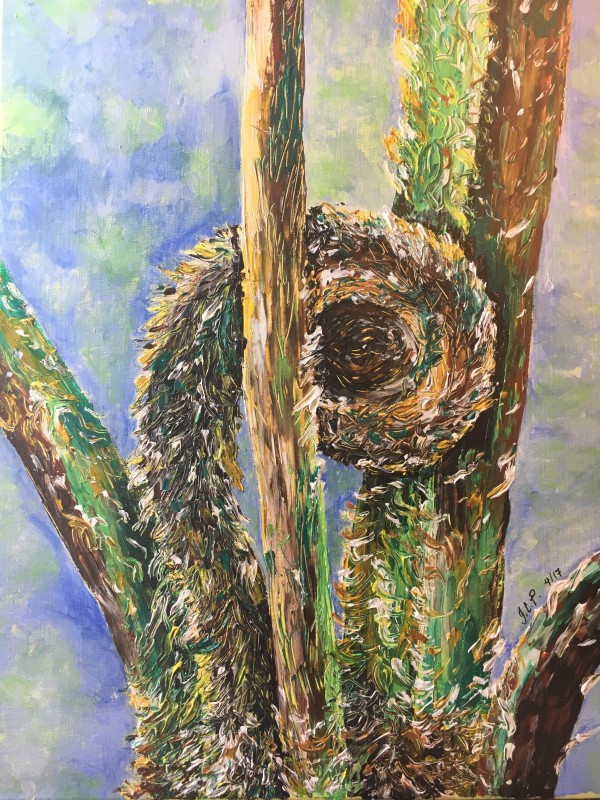 Tree fern fiddlehead 2 by Jennifer C.  Pierstorff