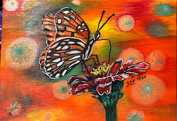 Gulf Frittilary Lounging on a Zinnia by Jennifer C.  Pierstorff