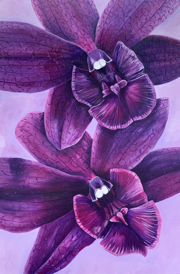 Healing Properties of a Purple Orchid