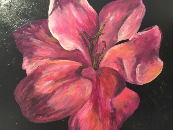 Pink Rhododendron by Jennifer C.  Pierstorff