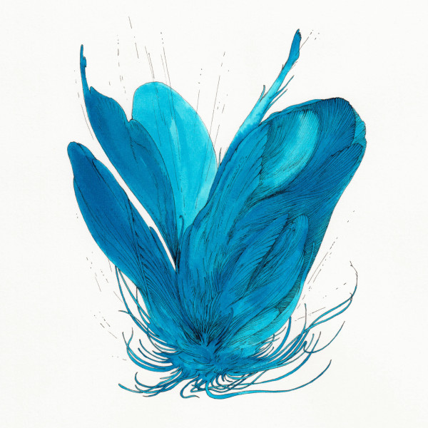 Falling 2 by Lucie