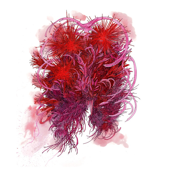 Chestburster by Lucie Van der Elst