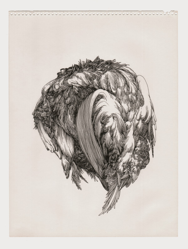 Bird 1 by Lucie Van der Elst