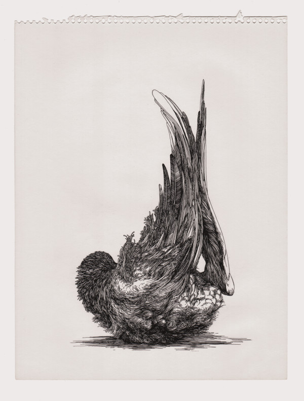 Bird 3 by Lucie Van der Elst