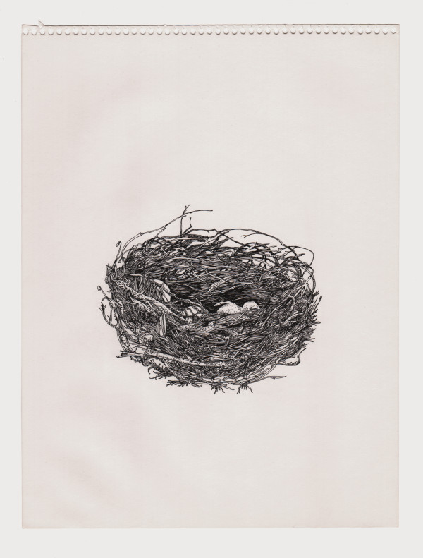 Bird 4 by Lucie Van der Elst