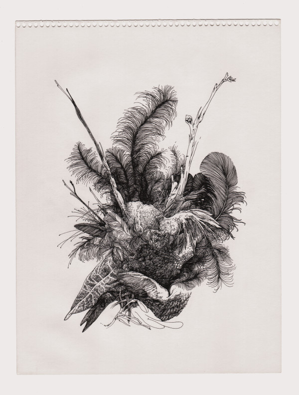 Bird 5 by Lucie Van der Elst