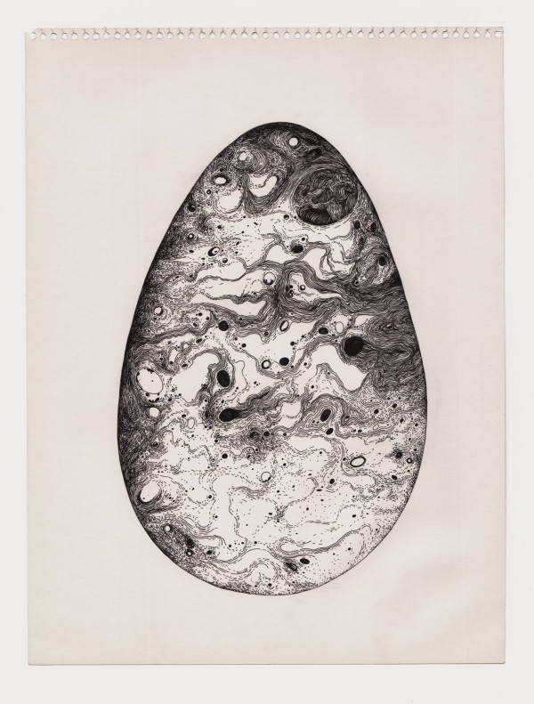 Bird 8 by Lucie Van der Elst