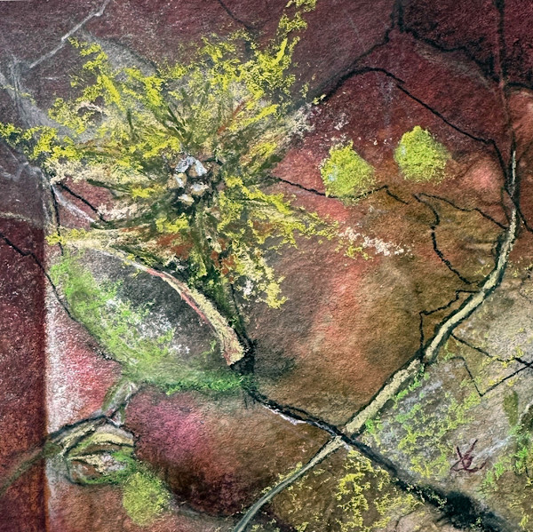 Mini Burst by Jan Elbert