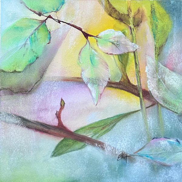 Translucent by Jan Elbert