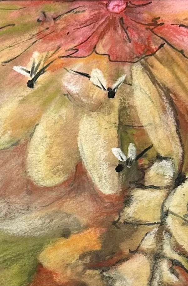 34mini-eco_2132 by Jan Elbert