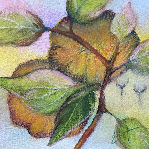 Red Stems by Jan Elbert