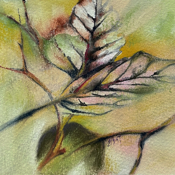 Spent Leaves by Jan Elbert