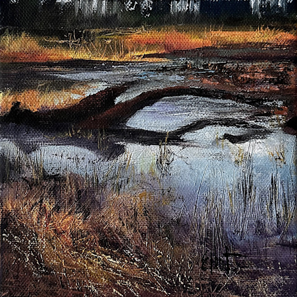 Submerged by Jan Elbert, Image 1.