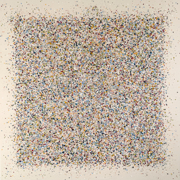 The Nature Field! by Astrid Stoeppel