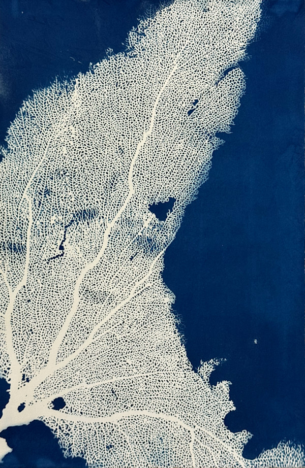 Moon lakes by Kumudini Hajra