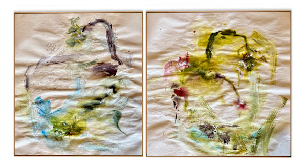 Untitled (cisnes) by Juan Andrés Marin Forero