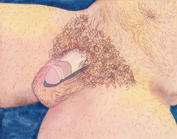 Penis Portrait XLVII