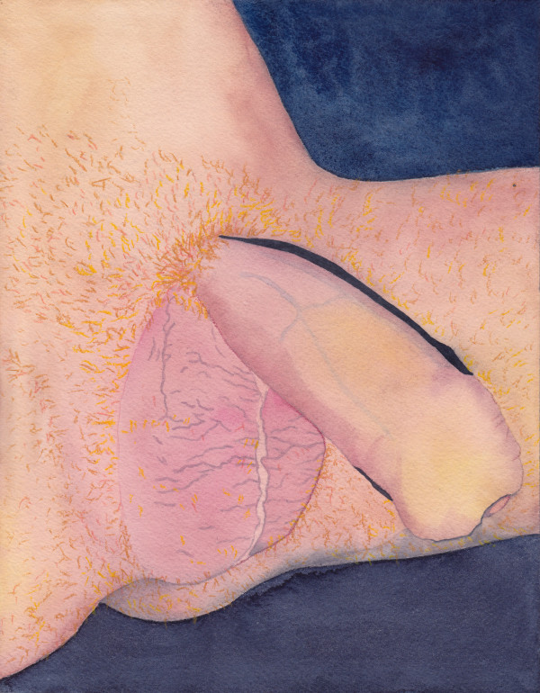 Penis Portrait X