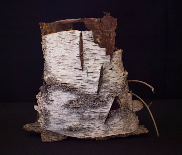 Shattered Chest by Ann Jones-Weinstock, Image 1.